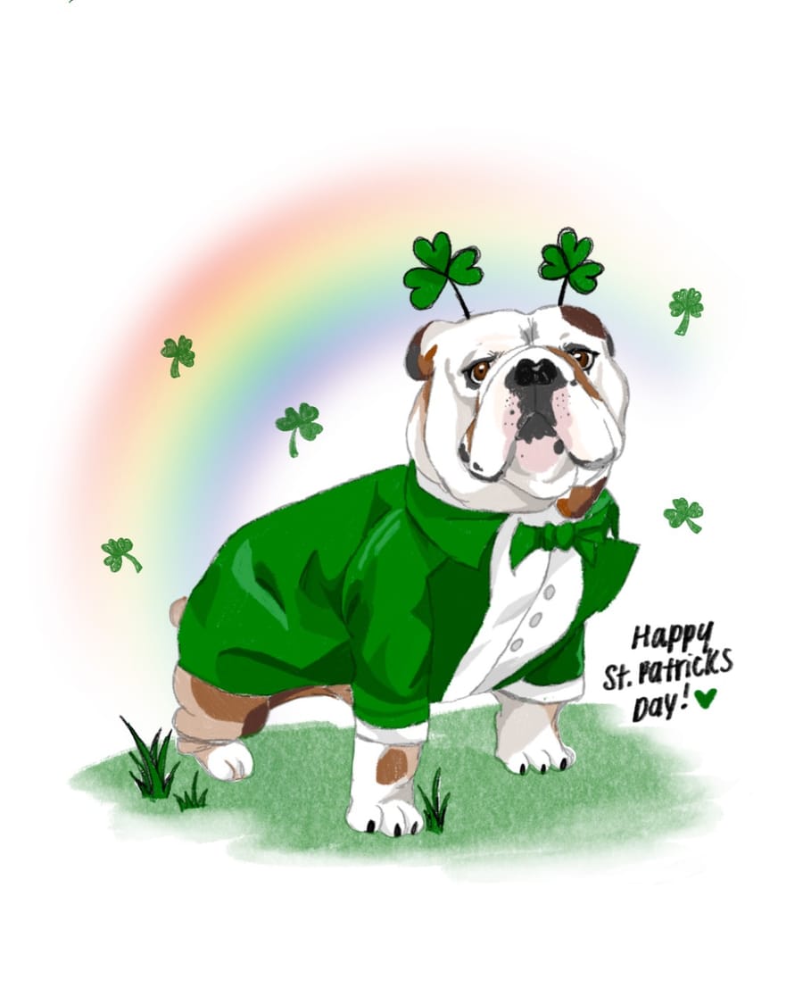 handsome dan, st. patrick's